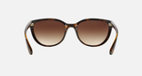 Ray-Ban RB4167 Emma Unisex Lifestyle Irregular Sunglasses