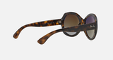 Ray-Ban RB4191 Unisex Lifestyle Round Sunglasses