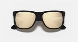 Ray-Ban Justin Color Mix Lifestyle Sunglasses