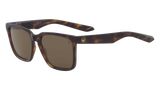 Dragon Alliance Baile LL Polar Sunglasses, Matte Dark Tortoise Frame LL Brown Polar Lens
