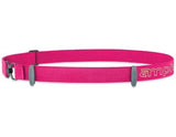 Amphipod Race-Lite Quick-Clip Number Belt - New Day Sports