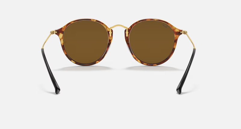 Ray-Ban Round Fleck Unisex Lifestyle Round Sunglasses