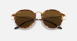 Ray-Ban Round Fleck Unisex Lifestyle Round Sunglasses