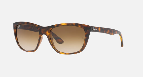 Ray-Ban RB4154 Unisex Lifestyle Square Sunglasses