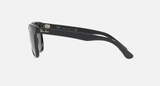 Ray-Ban RB4184 Unisex Lifestyle Square Sunglasses
