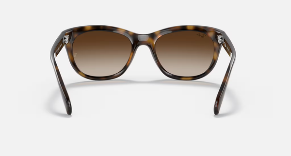 Ray-Ban RB4216 Unisex Lifestyle Square Sunglasses