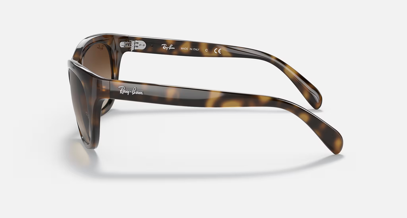 Ray-Ban RB4216 Unisex Lifestyle Square Sunglasses