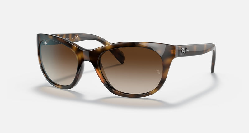 Ray-Ban RB4216 Unisex Lifestyle Square Sunglasses
