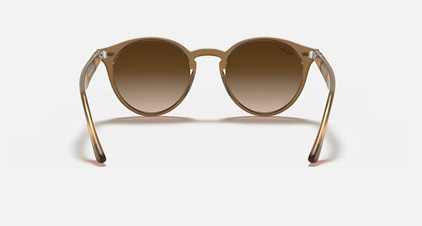 Ray-Ban Turtledove Women Lifestyle Sunglasses