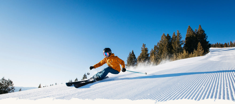 About New Day Sports a sporting goods retailer and e-commerce brand management company