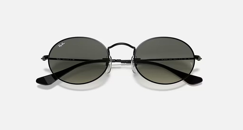 Ray-Ban Oval Unisex Lifestyle Sunglasses