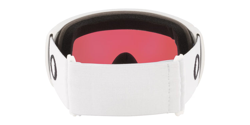 Oakley Flight Path L Unisex Winter Goggles