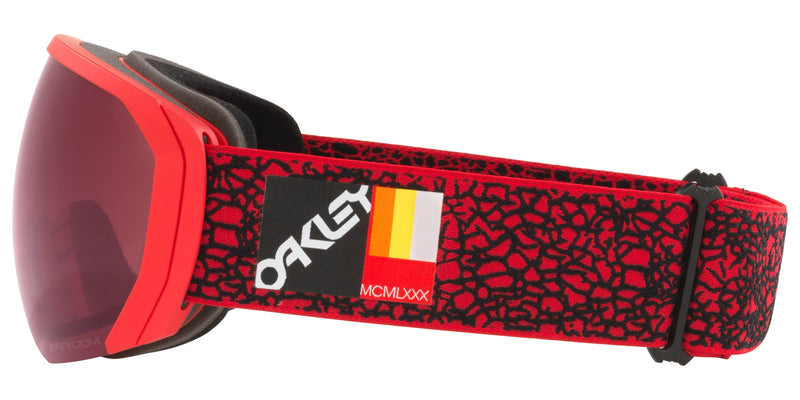 Oakley Flight Path L Unisex Winter Goggles