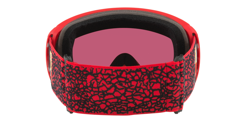 Oakley Flight Path L Unisex Winter Goggles