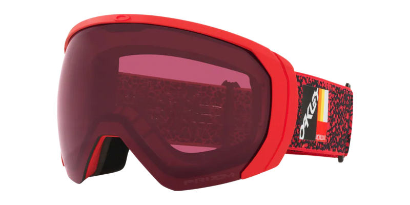 Oakley Flight Path L Unisex Winter Goggles