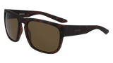 Dragon Alliance Rune XL Sunglasses Matte Tortoise Frame Bronze Lens