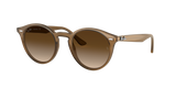 Ray-Ban Turtledove Women Lifestyle Sunglasses