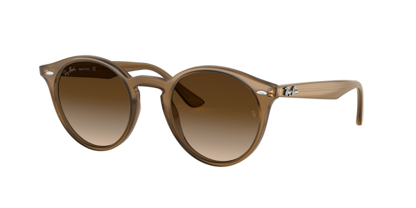 Ray-Ban Turtledove Women Lifestyle Sunglasses
