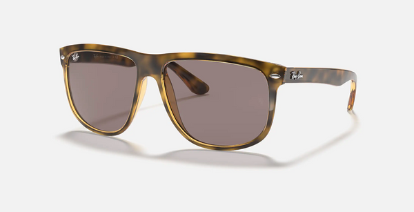 Ray-Ban Boyfriend Unisex Lifestyle Sunglasses