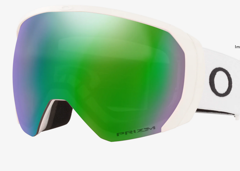 Oakley Flight Path L Unisex Winter Goggles