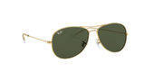 Ray-Ban Cockpit Unisex Lifestyle Sunglasses